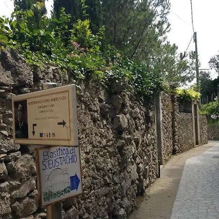 לינה וארוחת בוקר Ami